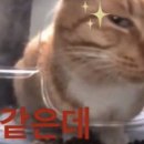 영수학
