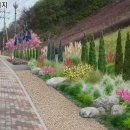 나들정원 이미지