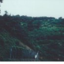 청송목장 이미지