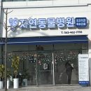 자연동물병원 | 군산동물병원 잘보는곳 추천 자연동물병원 다녀온 후기