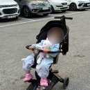 올보르 엘빈 트라이크 내돈내산 실사용후기