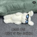 대전대화중학교 | 대전 반석역 - 간판도 없는 사주집 다녀온 후기