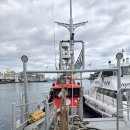 용치 | 제주 서귀포 바다배낚시 l 천지연 선상낚시 체험 내돈내산 솔직후기