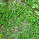 뽑기좋은날 이미지