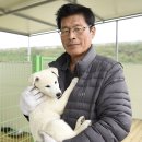 진도개천국 이미지