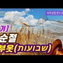 5/17~23샤부옷(SHAVU'OT 1,2)오순절(칠칠절)맥추절 -심판이 축복으로 바뀌는 오순절 강의 모음 이미지