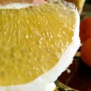 보라네민박 이미지