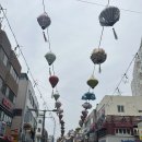 월드필리 이미지