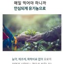 롤드