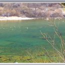 새들민박 이미지