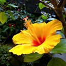 용강초교 이미지