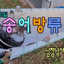 남창낚시터 이미지