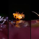 치유공간 이미지