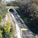 월계로1 이미지