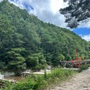 동산계곡 주차장 | 대구 근교 애견동반 가능한 계곡 ‘동산계곡’ 주말방문후기!