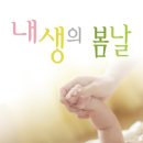 내생의봄날 대구수목원 이미지