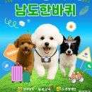 섬진강순환2 이미지