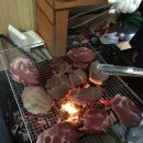 시냇물과 눈꽃세상 이미지