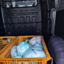 전주지역자활센터보드레기저귀 이미지