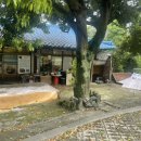 오동동011 이미지