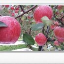 소정농장 이미지