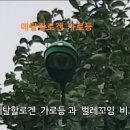 유일주유소 이미지