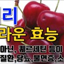 체리의 효능 youtube 이미지