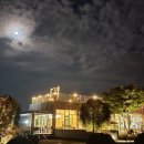 이수미팜베리 이미지