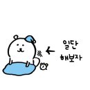 일등씨케이케이상사 | [커리어 고민] 남의 말 듣지 않고 좋아하는 일 할거야