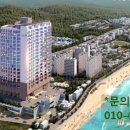 강릉 바다 공인중개사사무소 이미지