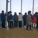 송산초등학교 | 송산그린시티 답사후기(11/3)