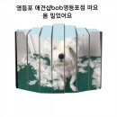 BOB영등포점 이미지