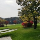 웰링턴컨트리클럽 이미지