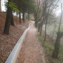 KINS 산책로 이미지