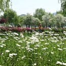 거창-거창-13 이미지