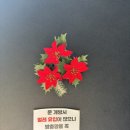 [담양 소원별장] 담양 힐링 독채 숙소 소원별장 내돈내산 후기