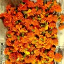 향기가득 이미지