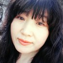 행복을주는나무 이미지