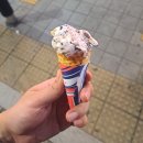 최고야노래연습장 이미지