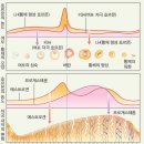 한양대(체육관) | 한양대 구리병원 정언석 교수님 - 13 cm 난소 물혹(낭종) 로봇 수술 후기 최종편: 수술 후 한 달 회복기...