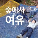 구룡초등학교(병설) 이미지