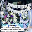 [공지] 세종시 신혼집프로포즈업체 데코플라워세종점❤️ 꽃다발증정 이벤트 참여하세요❤️ / 세종 종촌동...