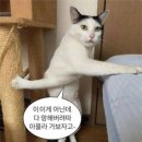 뜨개모임 이미지