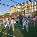 블랙벨트인성태권도장 | 홍천 용인대 블랙벨트태권도 아이들이 즐거워하는 태권도!