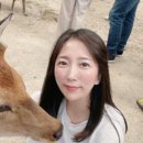 뽑기나라 이미지