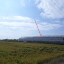 삼산면-3 이미지