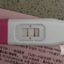 더미즈병원 티스토리