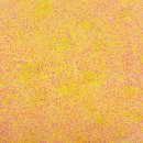 생명의 노래 이미지