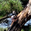 봉화산역 이미지