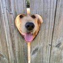 영국동물병원 이미지